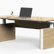 MOBILITY EXECUTIVE 2