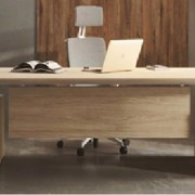 MOBILITY EXECUTIVE